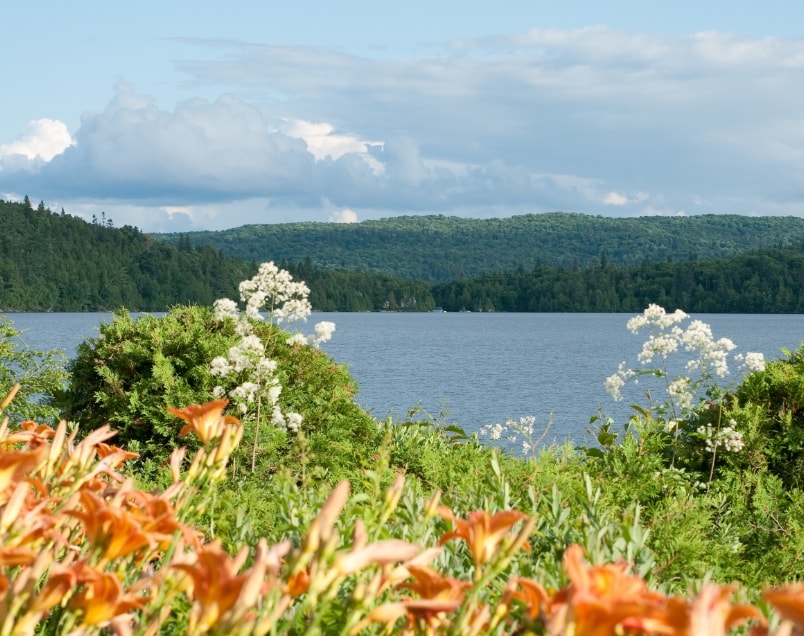 Photo The Laurentians